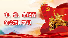 中、省、市纪委全会精神学习