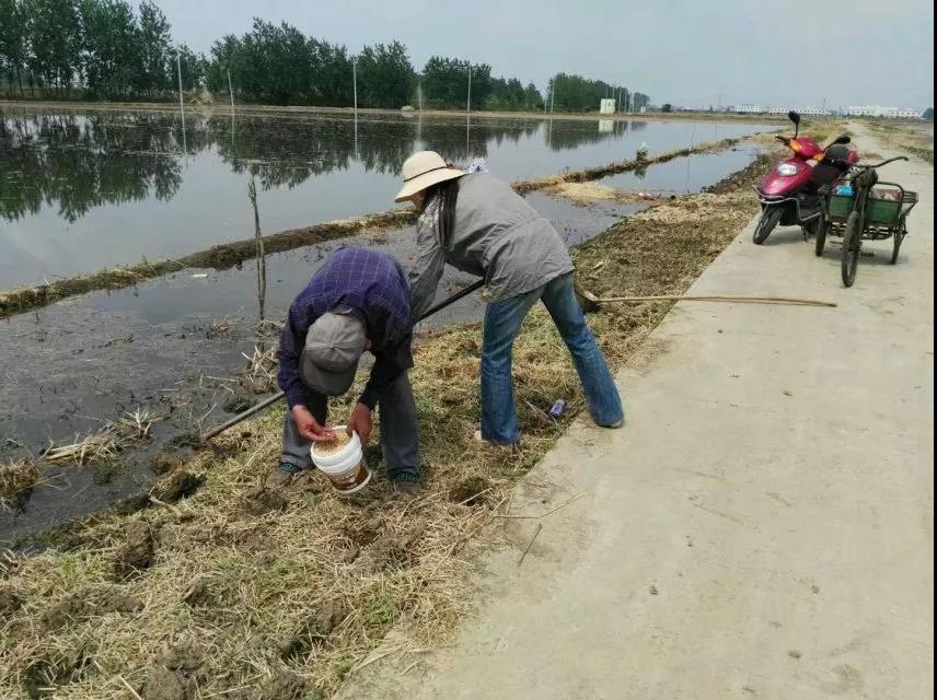 廉洁家风 你我同行 | 家风如雨，润物无声