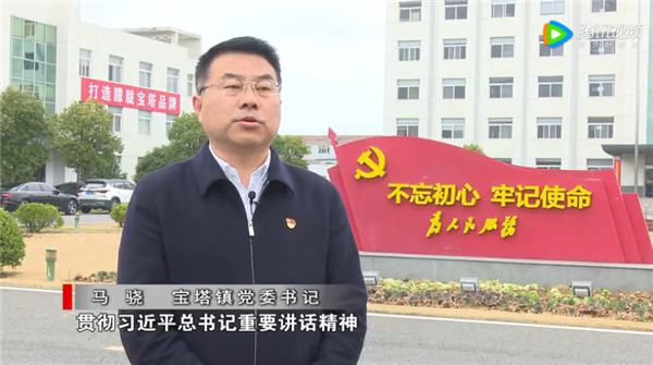 宝塔镇贯彻落实纪委全会精神专题访谈  